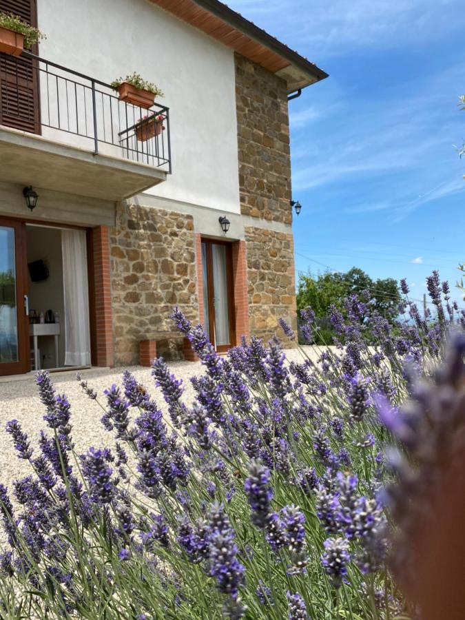 Podere Belsogno-Camera Lavanda Montalcino Esterno foto